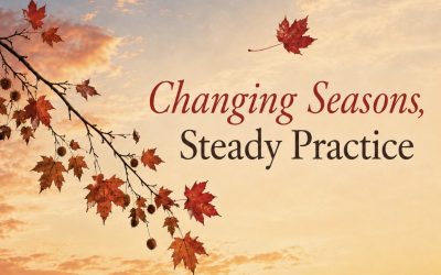 Changing Seasons, Steady Practice